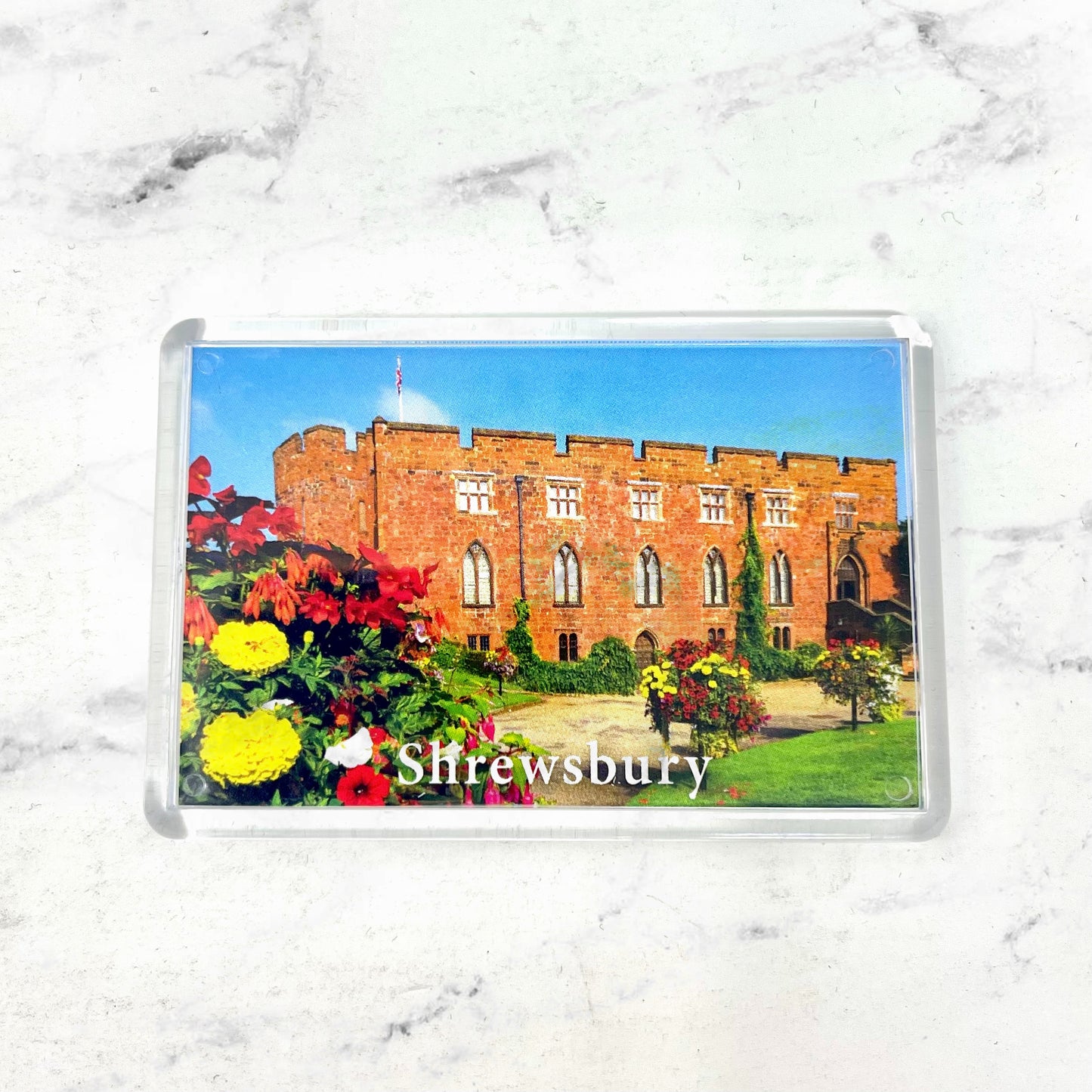 Shrewsbury Castle