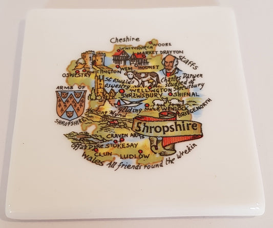 Shropshire Large China Fridge Magnet
