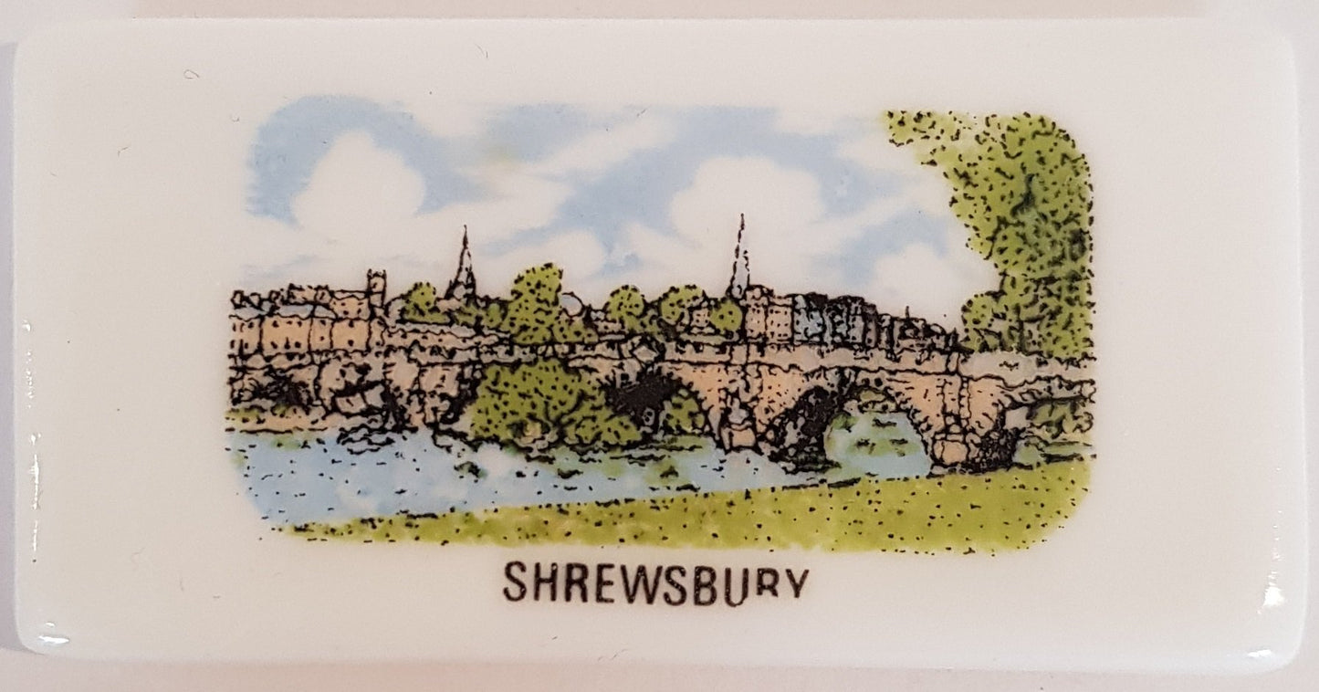 Shrewsbury Small China Fridge Magnet