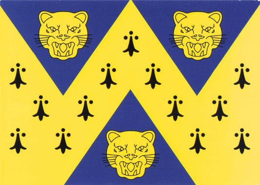 Flag of Shopshire Postcard
