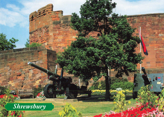 Shrewsbury Castle Postcard