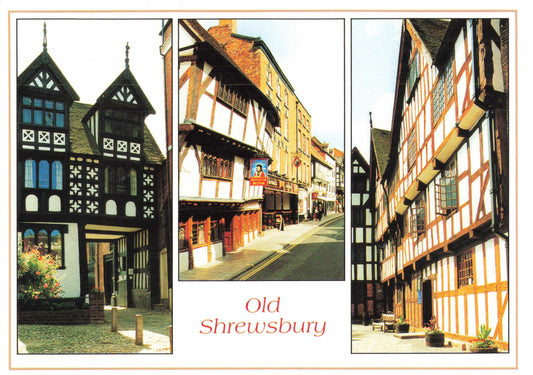 Shrewsbury Council Gateway Mardol Rowley House Postcard