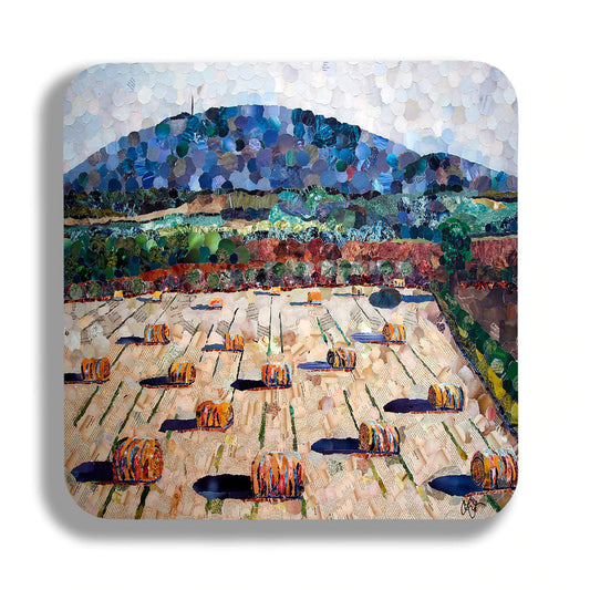 Harvest Shropshire Coaster Designed by Lyn Evans
