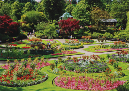 Summer in the Dingle Blank Shrewsbury Post Card