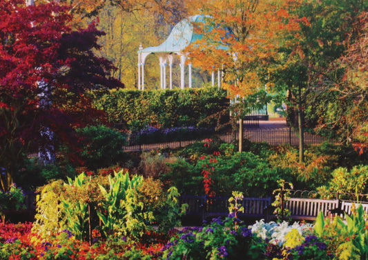 Autumn in the Dingle Blank Shrewsbury Post Card