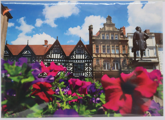 Fish St Blank Shrewsbury Greetings Card